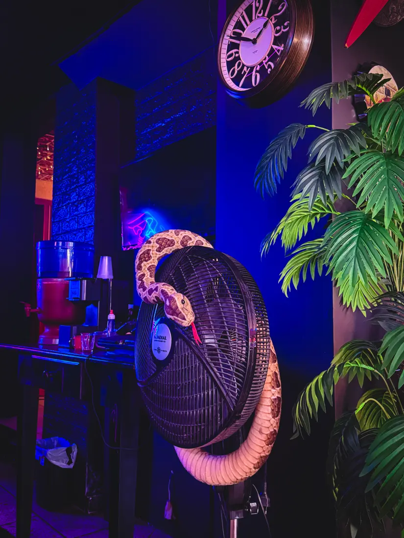 Cobra sobre o ventilador de parede
