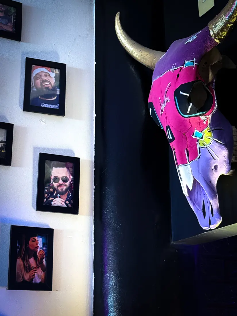 Caveira de boi rosa na parede de retratos